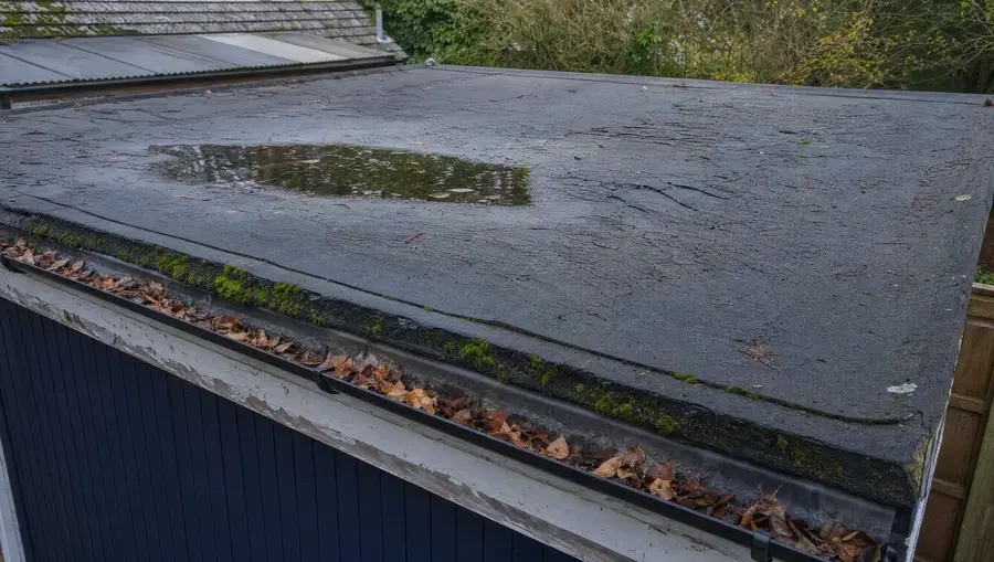 Old garage flat roof with cracked felt and standing water