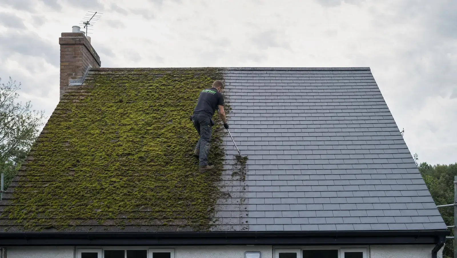 Half-cleaned roof showing mossy tiles beside clean tiles