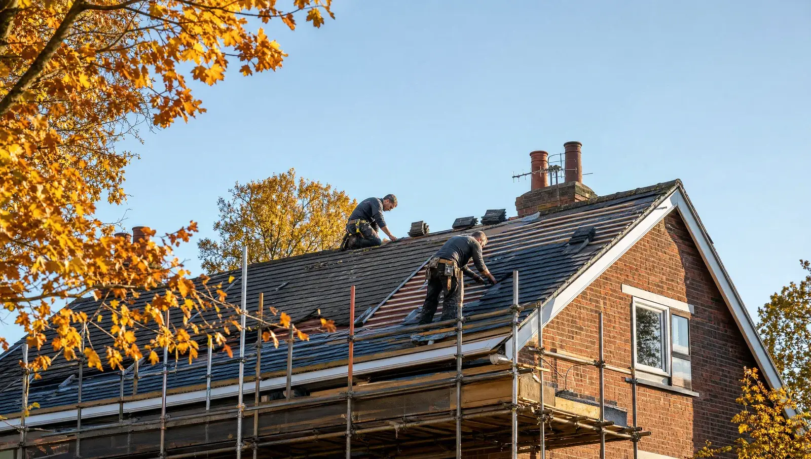 Roofers working on a UK roof on a crisp clear autumn day with golden leaves on nearby trees