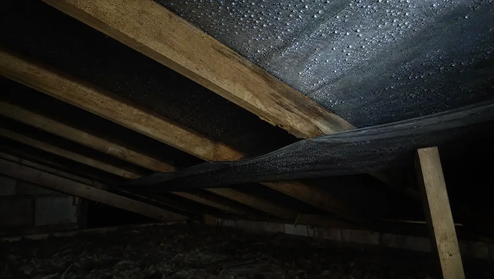 Water droplets beading on the underside of a roof membrane in a loft, lit by torchlight