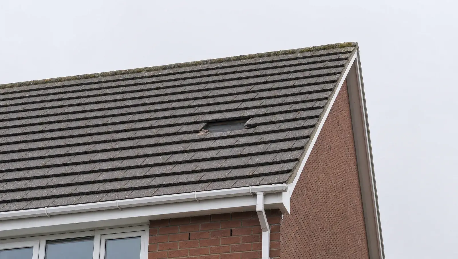 UK roof slope with one slipped tile exposing the dark felt beneath, seen from ground level