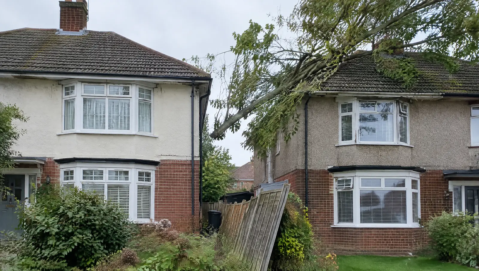 Two semi-detached British houses with an overhanging tree branch across the roof line